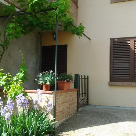 Appartamento In Collina "La Perla" Riparbella Exteriör bild